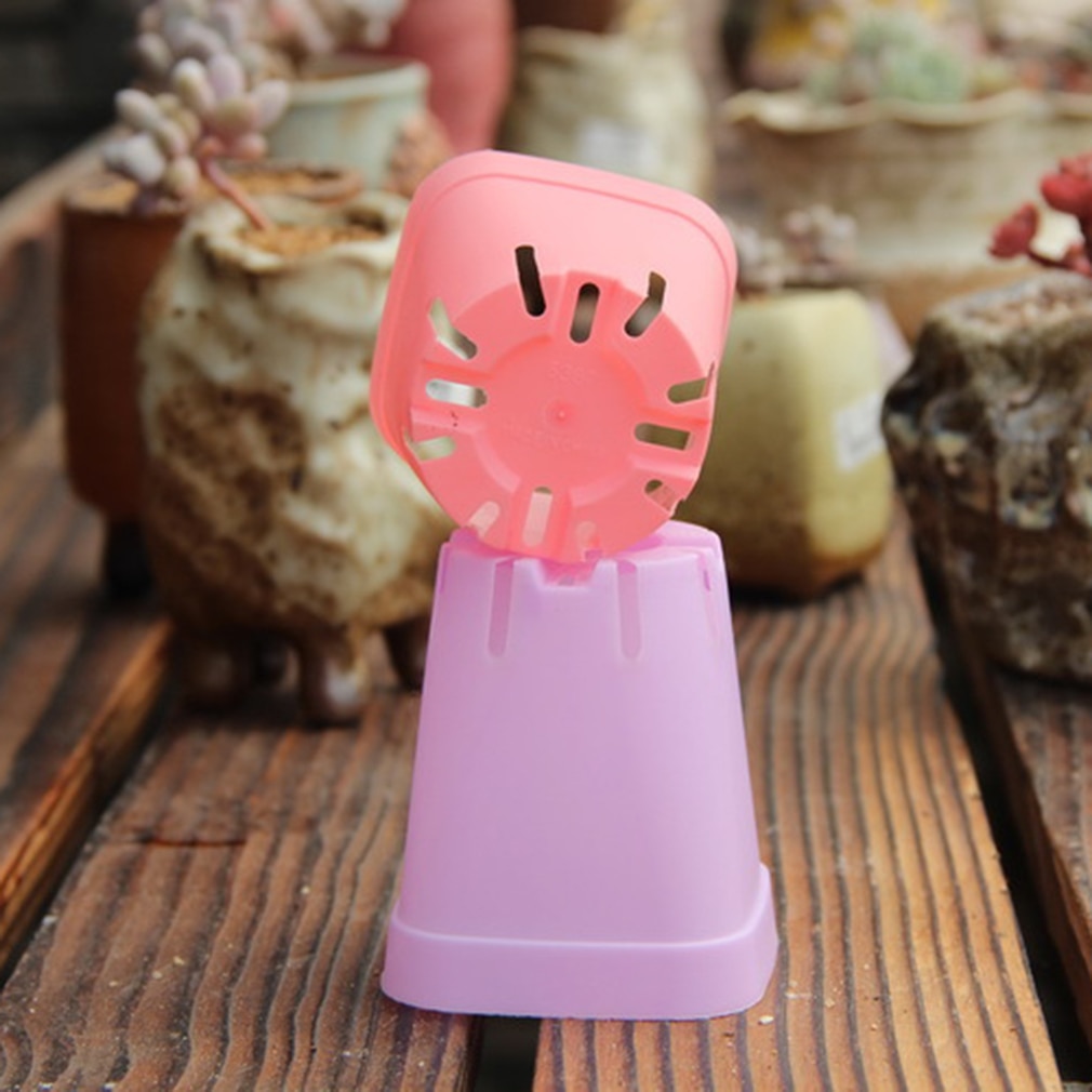 Plastic Mini Succulents Pots (10 Pcs) Plastic Mini Succulents Pots (10 Pcs)