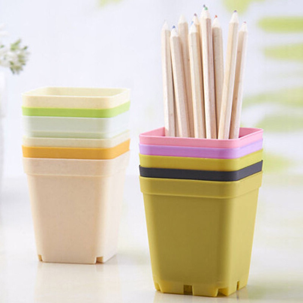 Plastic Mini Succulents Pots (10 Pcs) Plastic Mini Succulents Pots (10 Pcs)