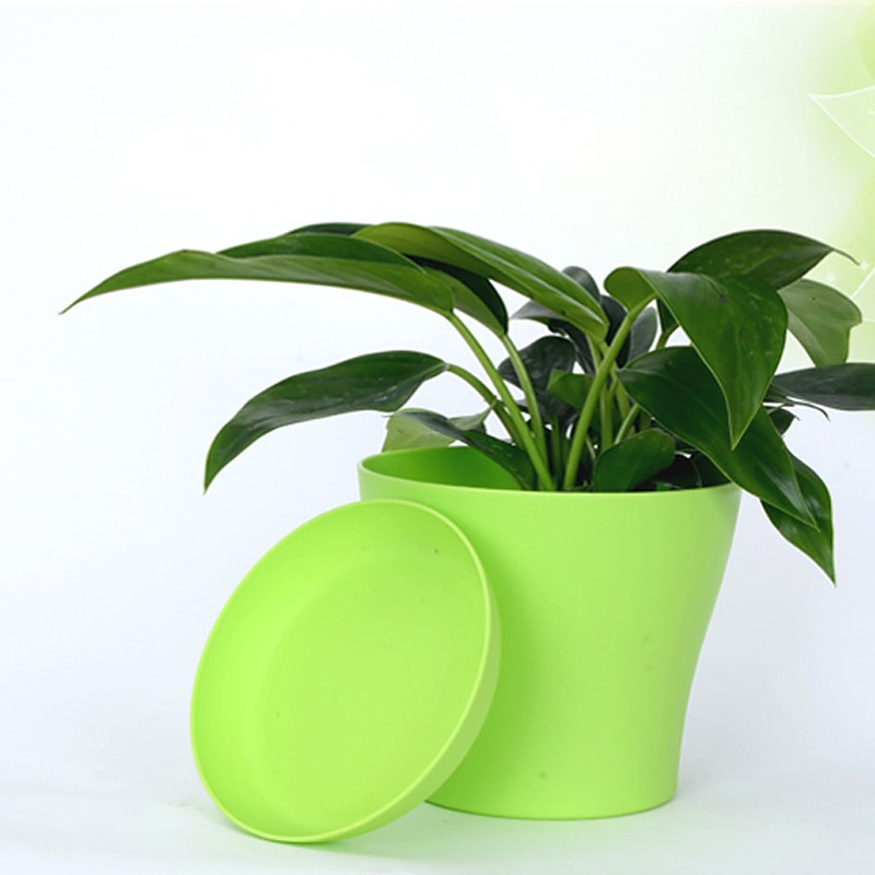 Plastic Plant Pot with Saucer Plastic Plant Pot with Saucer