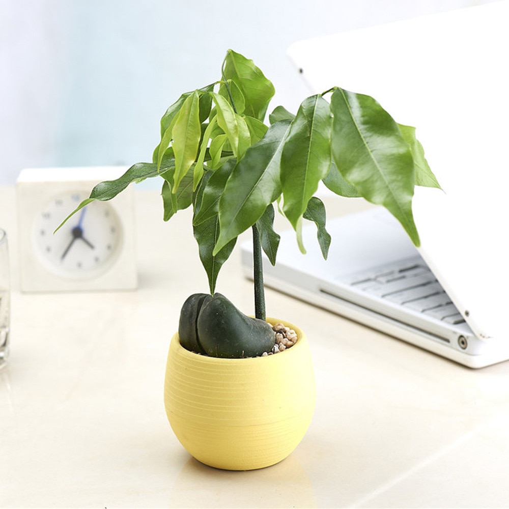 Plastic Plant Pots Home Garden Use Plastic Plant Pots Home Garden Use