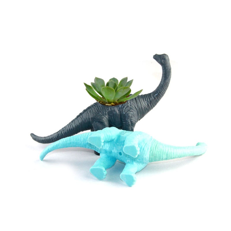 Plastic Pots Dinosaur Design Plastic Pots Dinosaur Design
