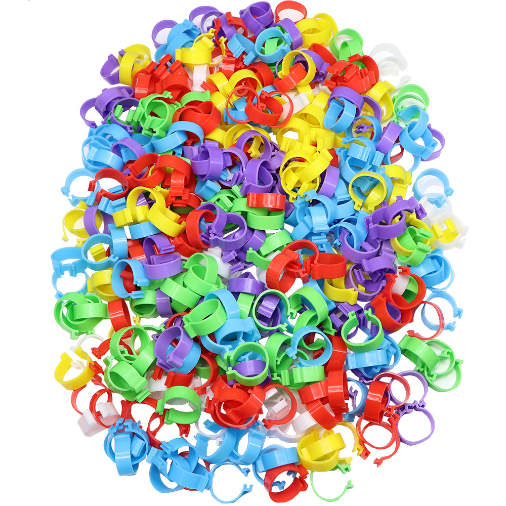 Plastic Poultry Leg Bands (100pcs)
