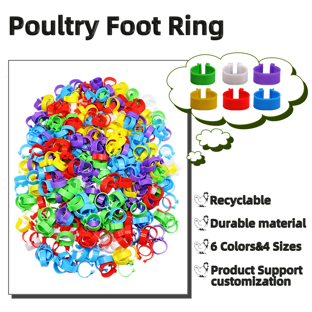Plastic Poultry Leg Bands (100pcs) Plastic Poultry Leg Bands (100pcs)