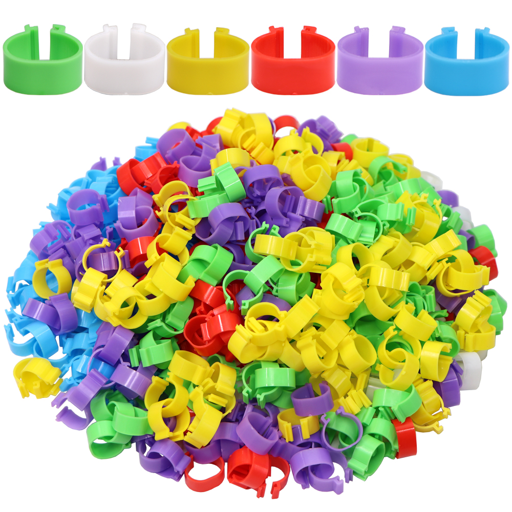 Plastic Poultry Leg Bands (100pcs) Plastic Poultry Leg Bands (100pcs)