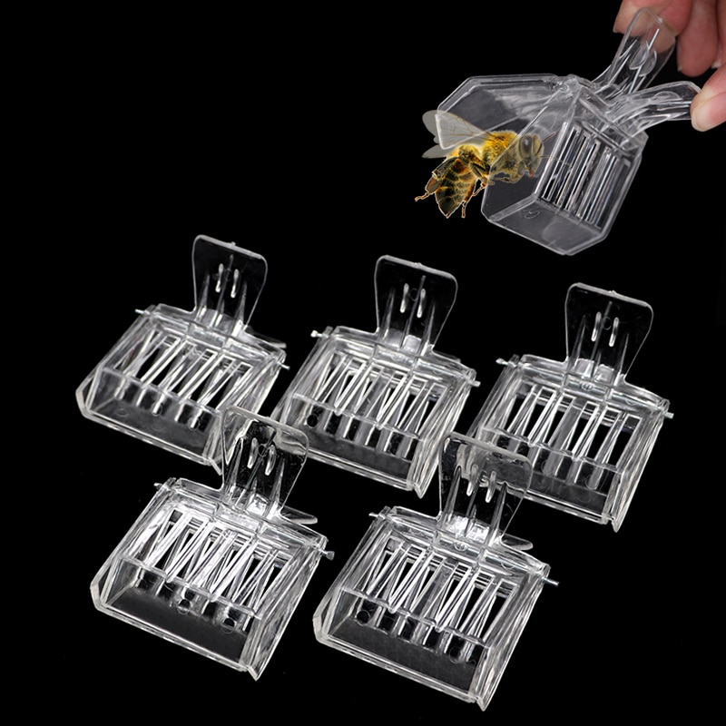 Plastic Queen Bee Catcher Clips (5pcs)