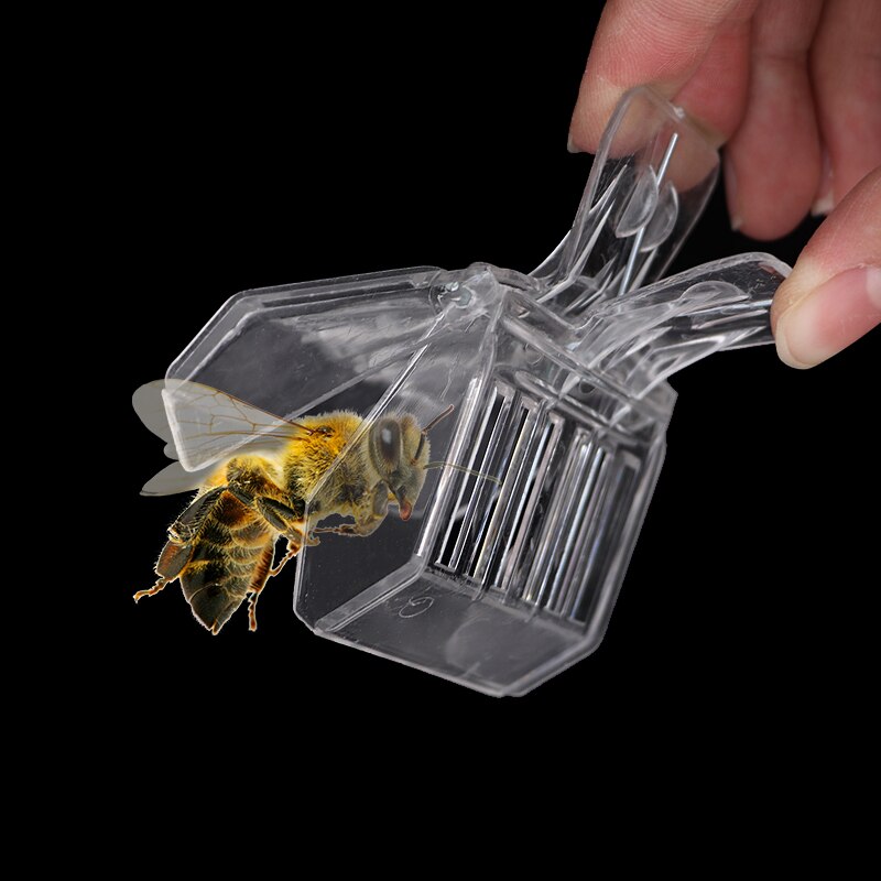 Plastic Queen Bee Catcher Clips (5pcs)