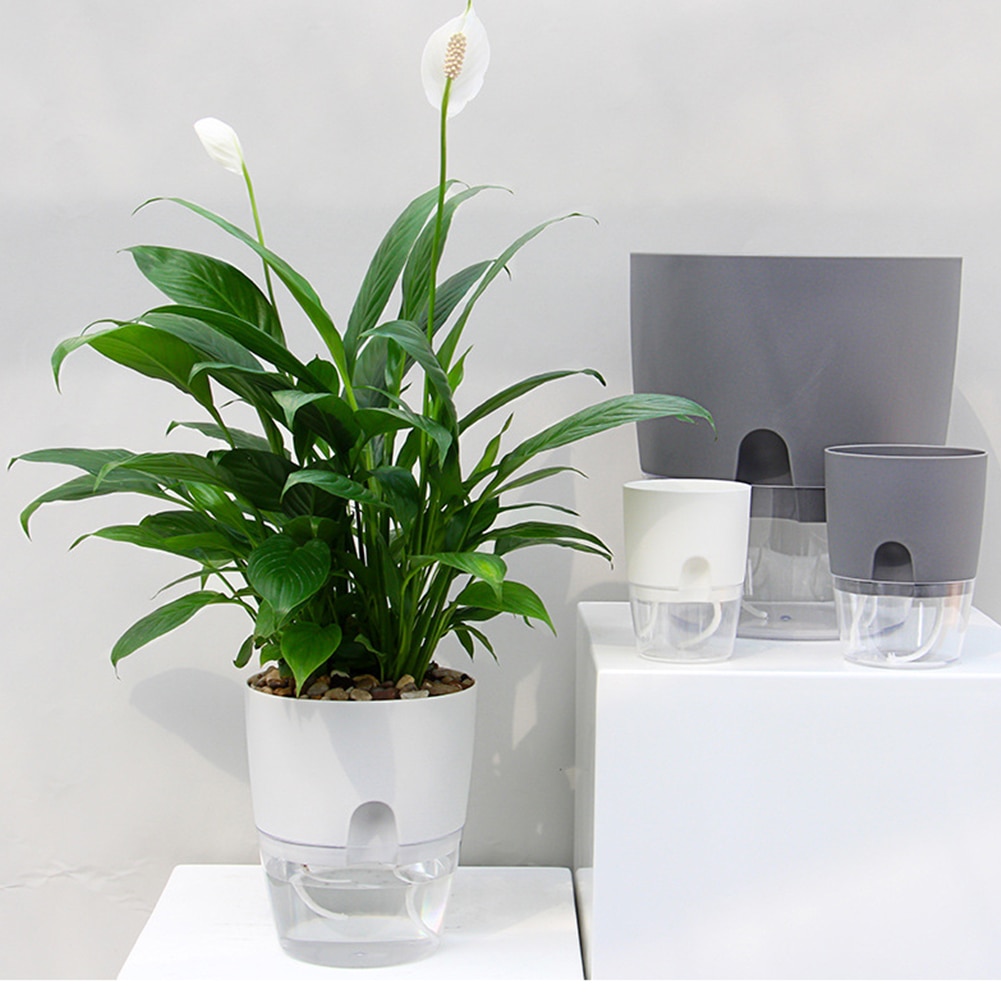 Plastic Self Watering Plant Pot Plastic Self Watering Plant Pot