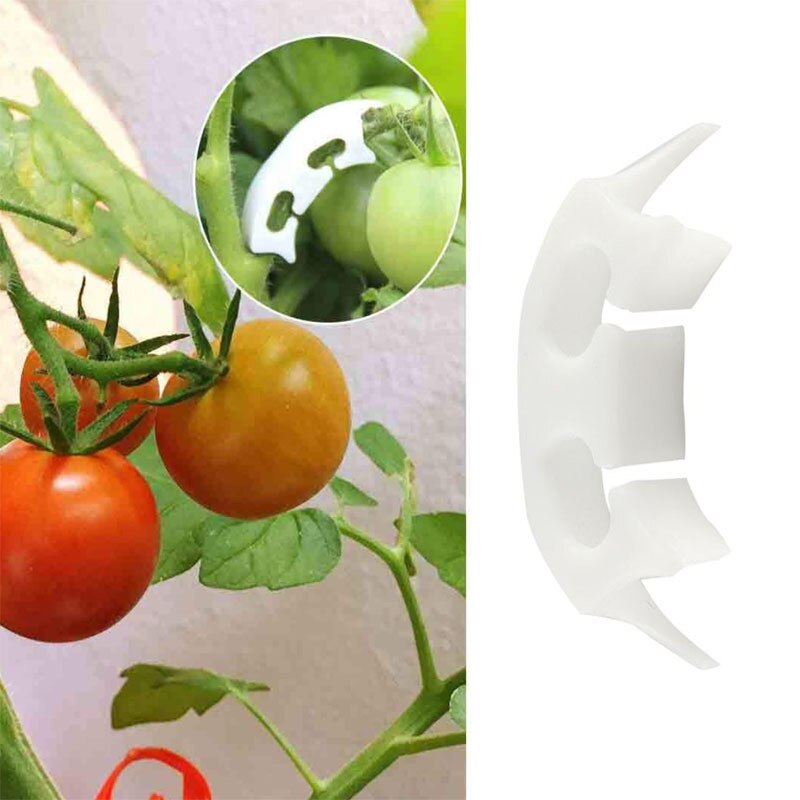 Plastic Tomato Grafting Clips (100pcs)