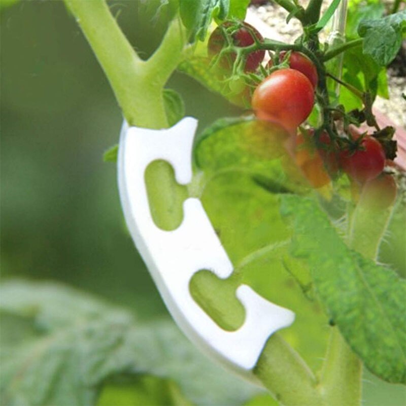 Plastic Tomato Grafting Clips (100pcs) Plastic Tomato Grafting Clips (100pcs)