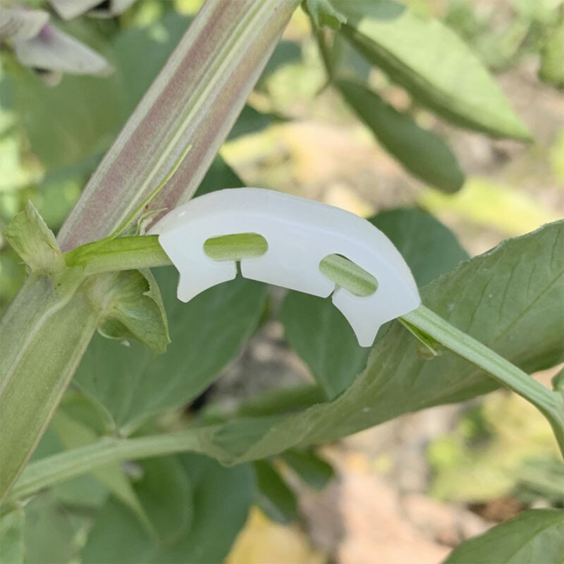 Plastic Tomato Grafting Clips (100pcs) Plastic Tomato Grafting Clips (100pcs)