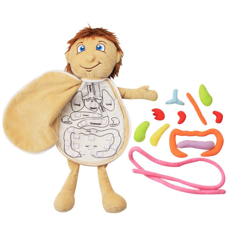 Plush Anatomy Doll with Removable Organs