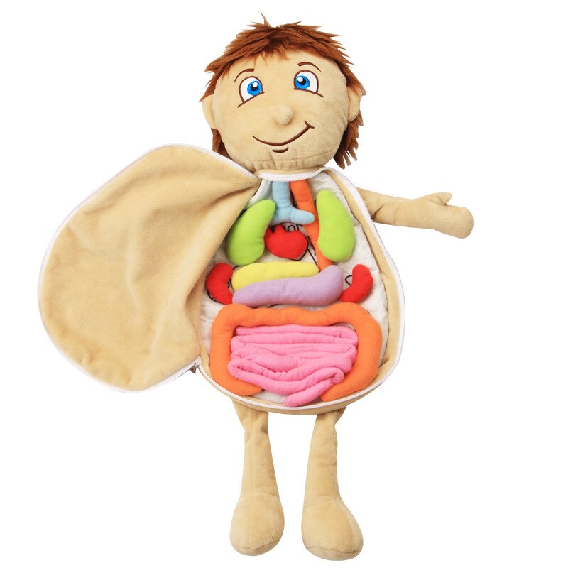 Plush Anatomy Doll with Removable Organs Plush Anatomy Doll with Removable Organs
