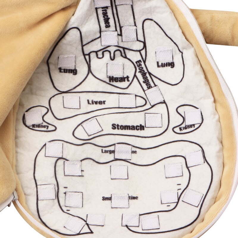 Plush Anatomy Doll with Removable Organs Plush Anatomy Doll with Removable Organs