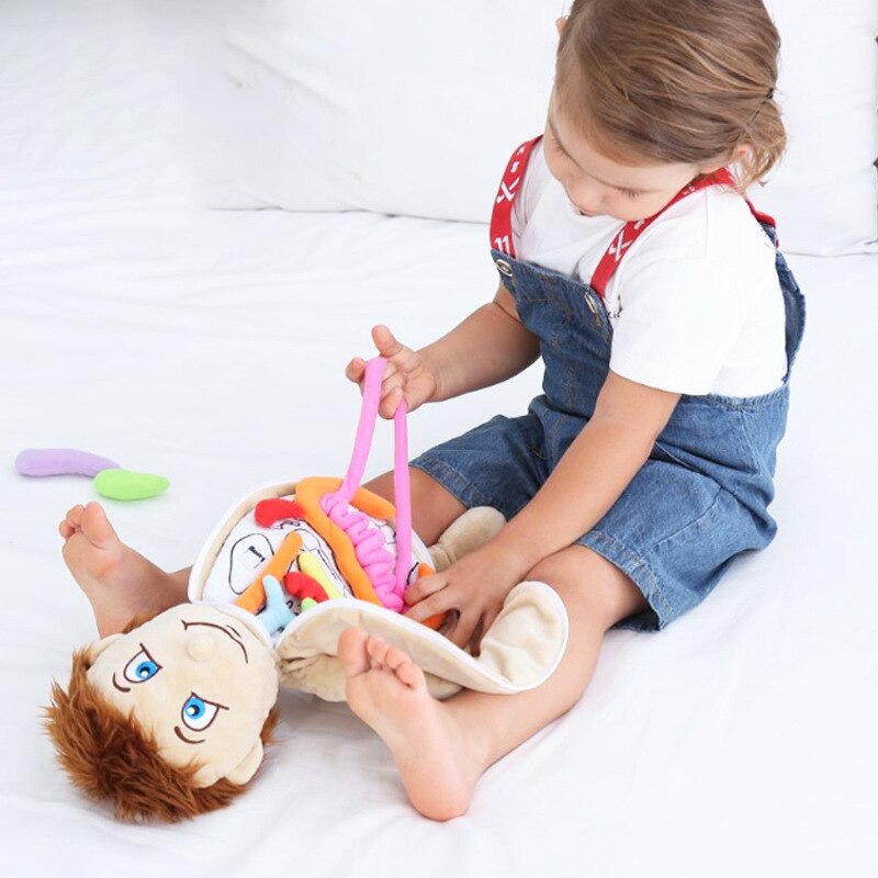 Plush Anatomy Doll with Removable Organs Plush Anatomy Doll with Removable Organs