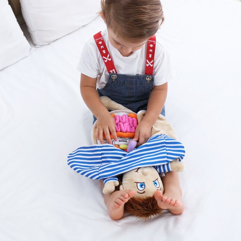 Plush Anatomy Doll with Removable Organs Plush Anatomy Doll with Removable Organs