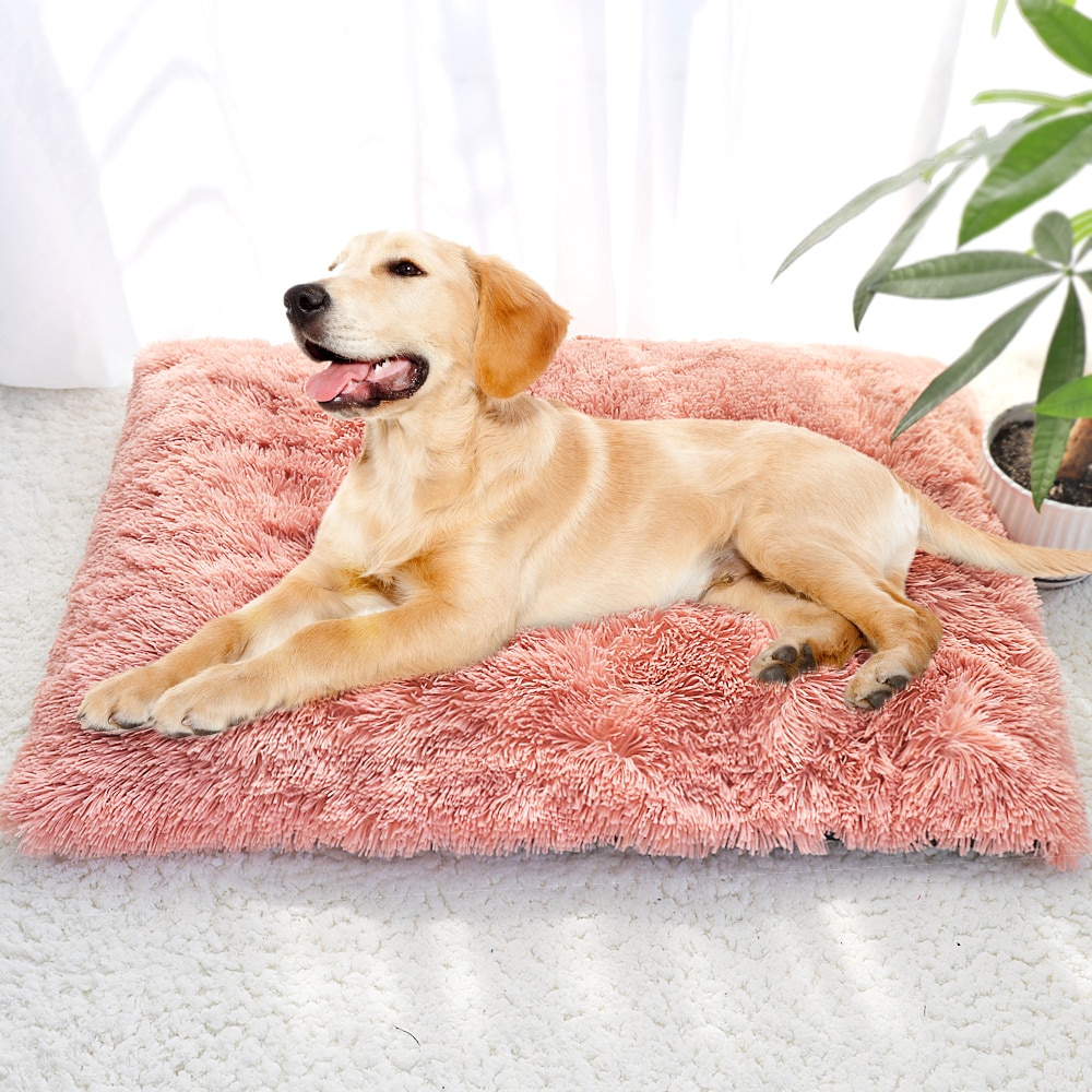 Plush Pet Bed Cushion Bed Plush Pet Bed Cushion Bed