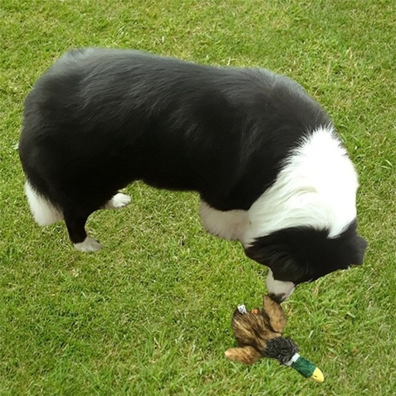 Plush Squeaking Duck Dog Toy Plush Squeaking Duck Dog Toy