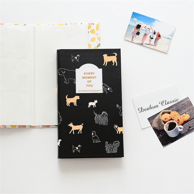 Polaroid Album Photo Storage