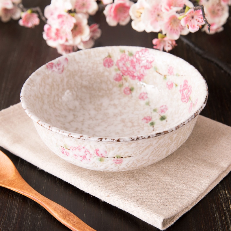 Porcelain Dinner Set 8PC Dishware