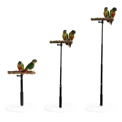 Portable and Foldable Parrot Training Stand Portable and Foldable Parrot Training Stand