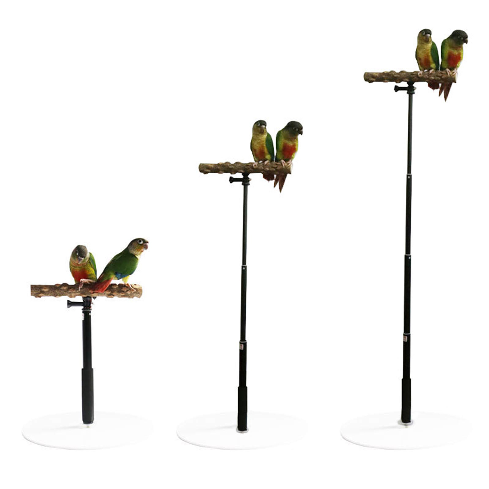 Portable and Foldable Parrot Training Stand