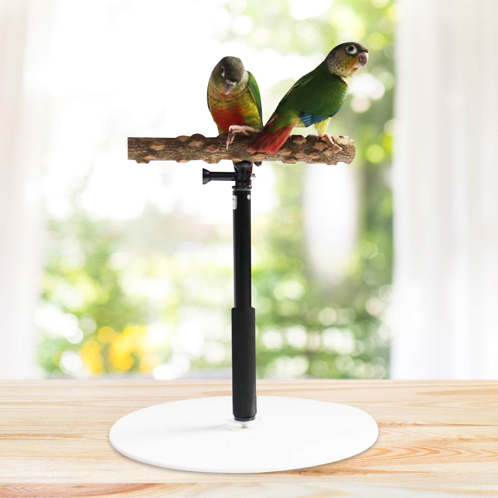 Portable and Foldable Parrot Training Stand Portable and Foldable Parrot Training Stand