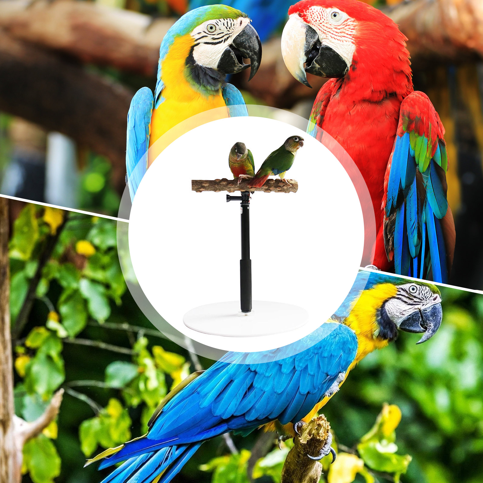 Portable and Foldable Parrot Training Stand Portable and Foldable Parrot Training Stand
