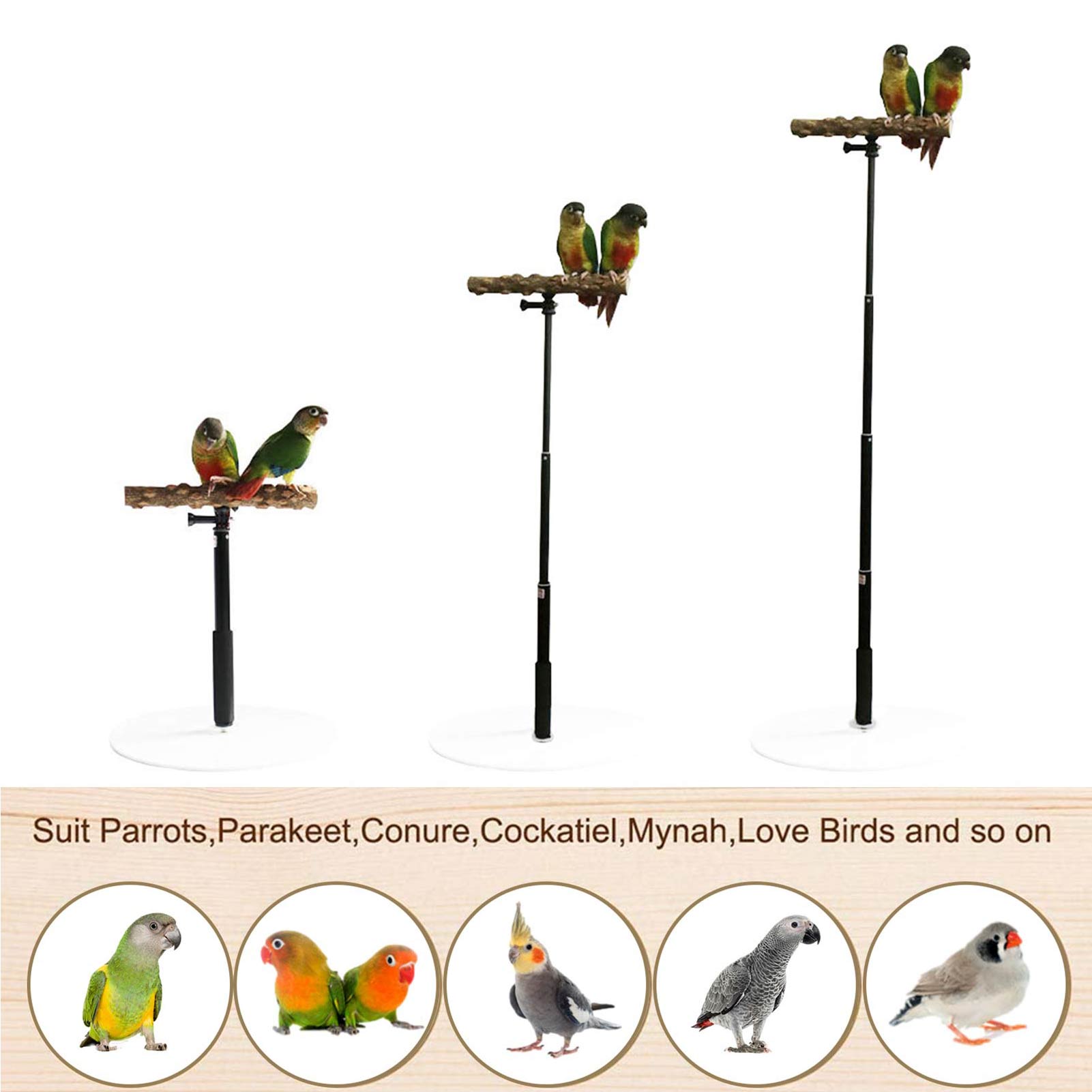 Portable and Foldable Parrot Training Stand Portable and Foldable Parrot Training Stand