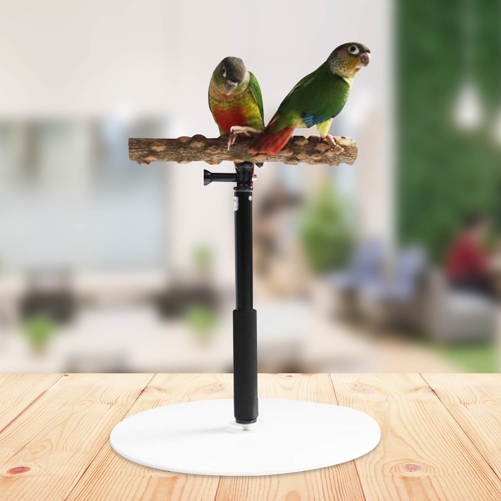 Portable and Foldable Parrot Training Stand Portable and Foldable Parrot Training Stand