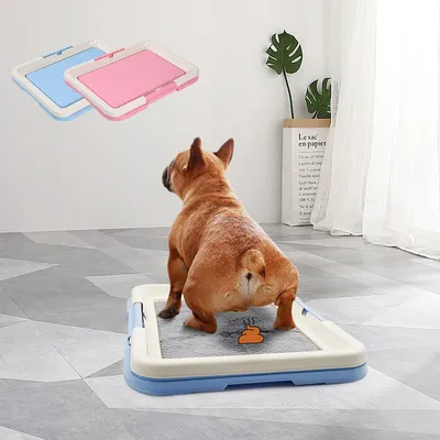 Portable Dog Training Toilet Indoor Dogs Potty Pet Toilet for Small Dogs Cats Cat Litter Box Puppy Pad Holder Tray Pet