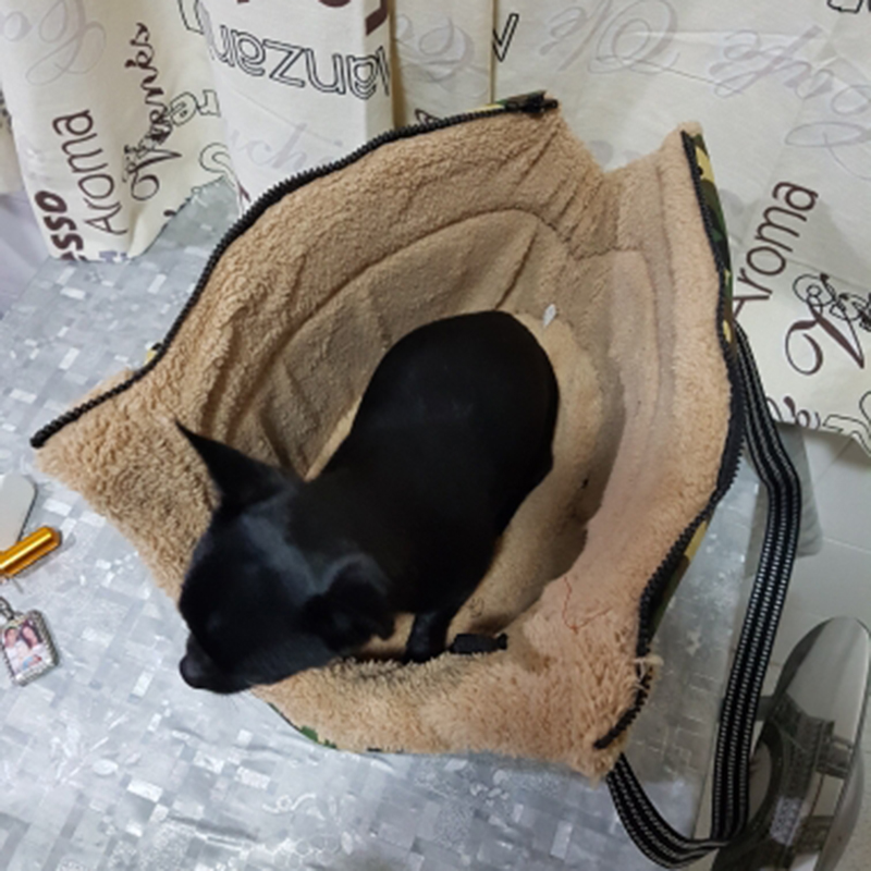 Portable Pet Travel Bag Carrier