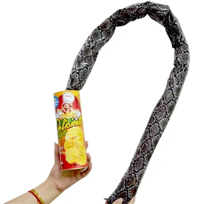 Potato Chip Snake Stage Magic Tricks Snake Toy April Fool Day Halloween Party Jokes in A Can Gag Gift Scary Fries Fun