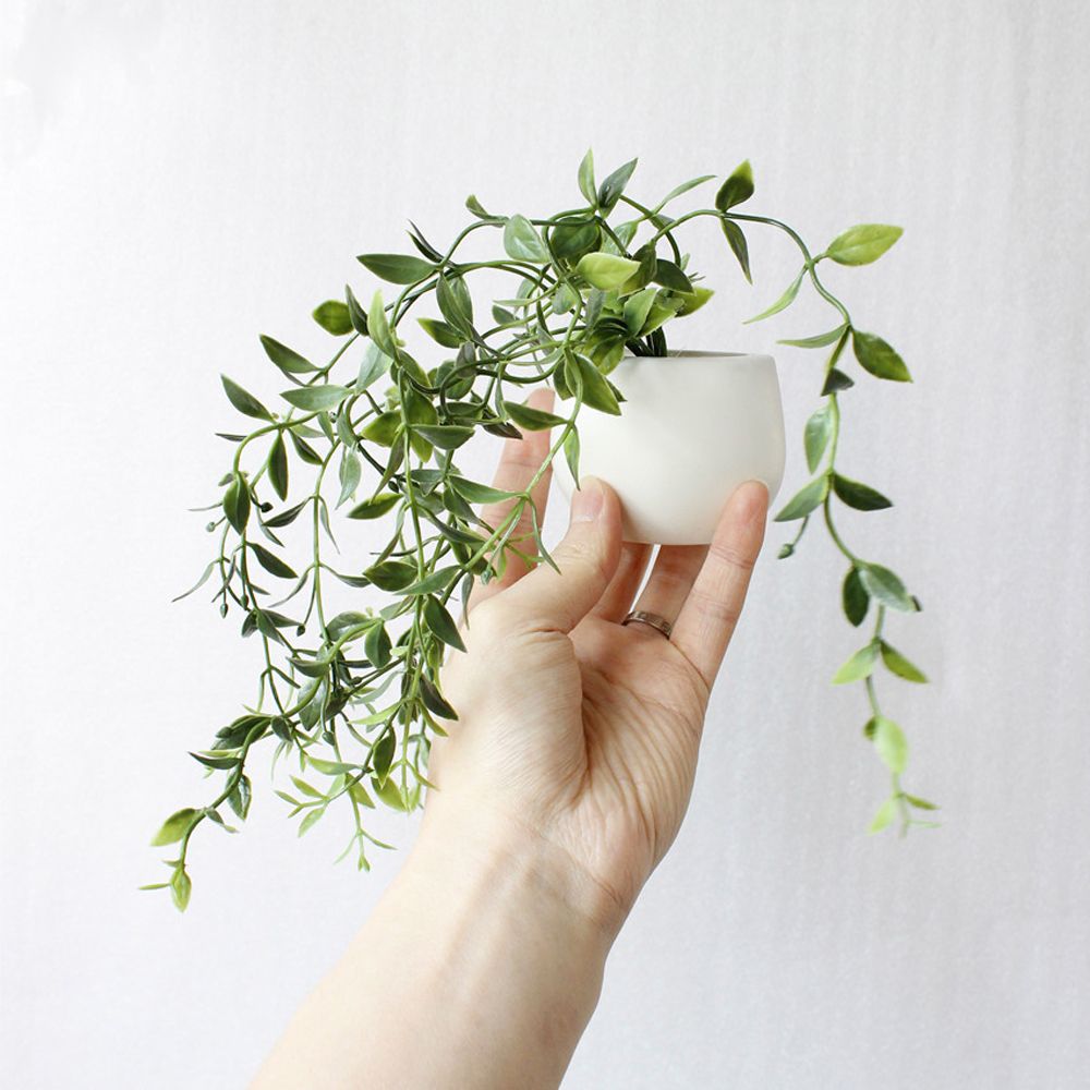 Potted Plant Fridge Magnet
