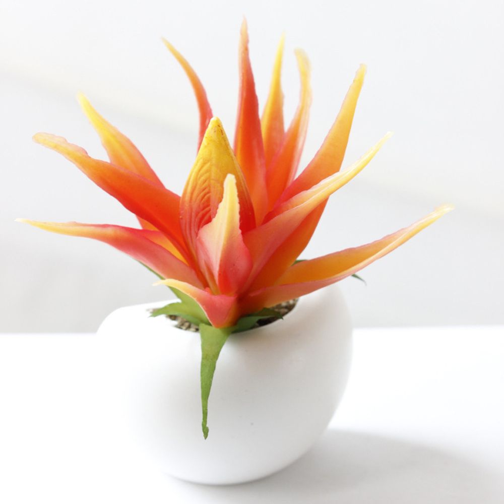 Potted Plant Fridge Magnet