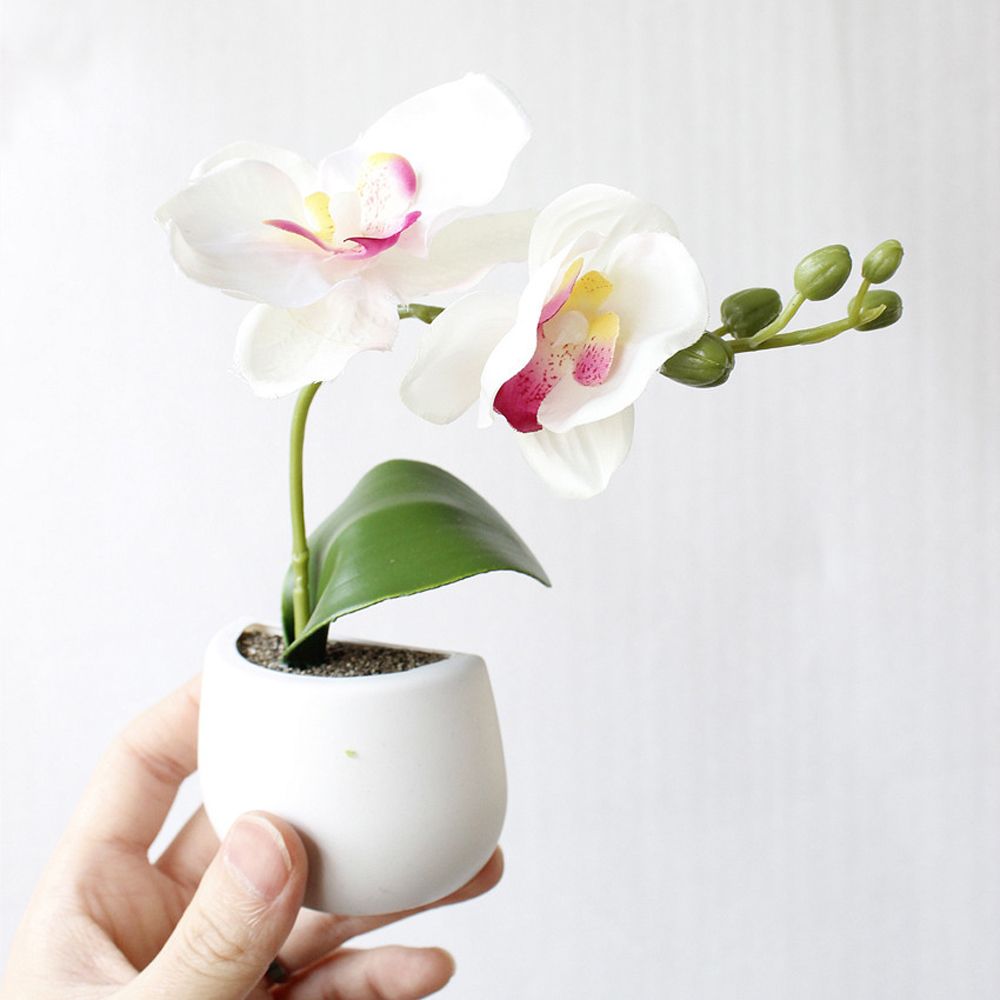 Potted Plant Fridge Magnet