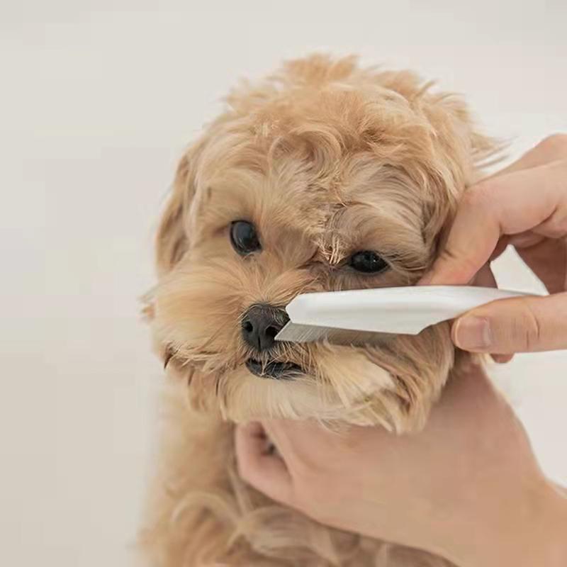 Practical Pet Facial Cleaning Brush for Small Dogs Teddy Bichon Pomeranian Hair Remover Comb Grooming Cleaning Tool Pet