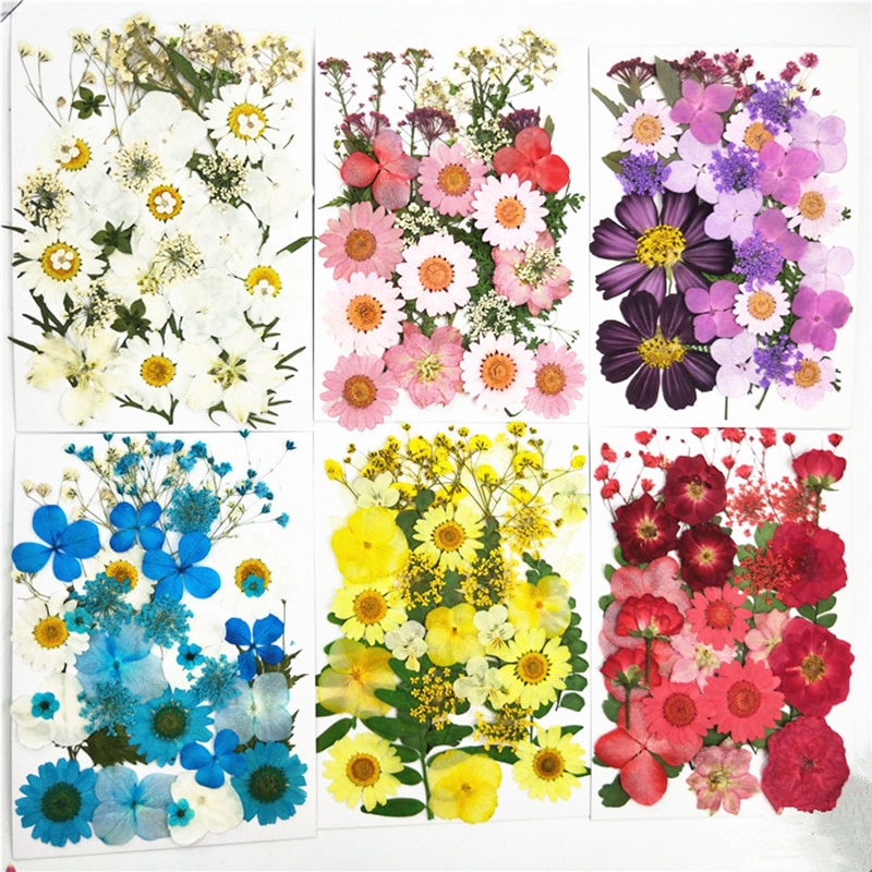 Pressed Flowers Artificial Decorations