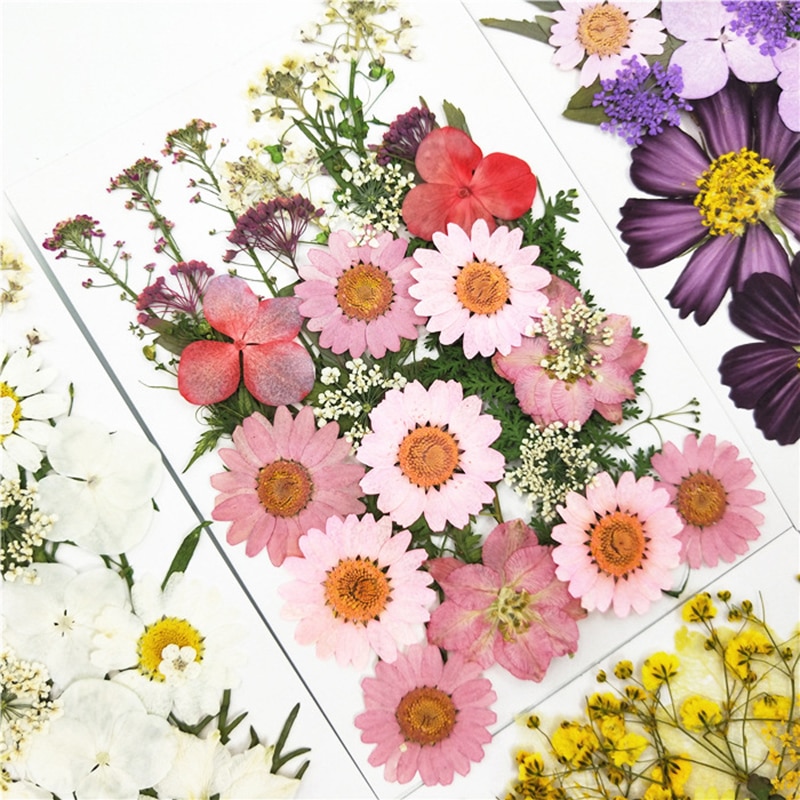 Pressed Flowers Artificial Decorations