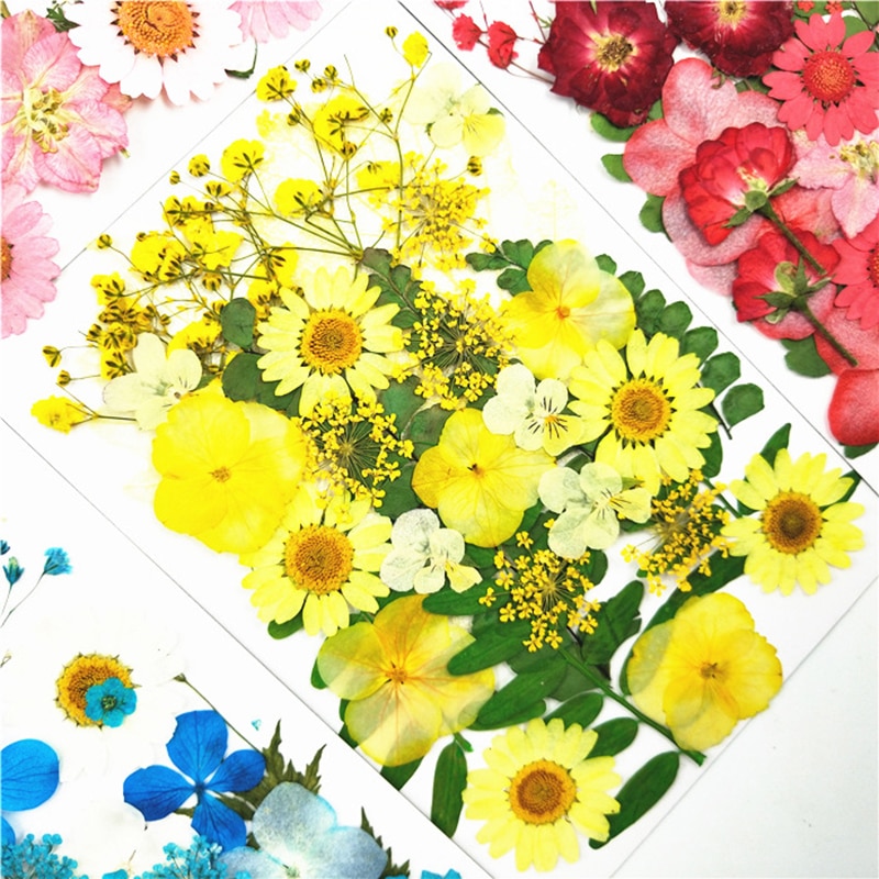 Pressed Flowers Artificial Decorations