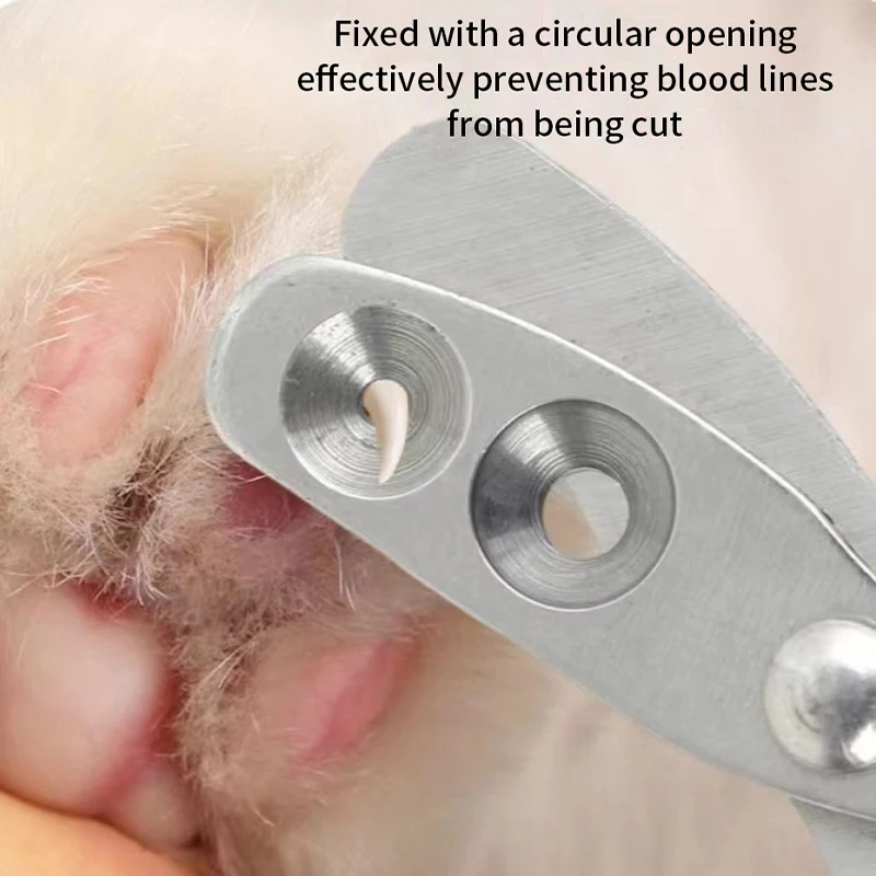 Professional Cat Nail Clippers for Small Cat Dog Stainless Steel Puppy Claws Cutter Pet Nail Grooming Clippers Trimmer Professional Cat Nail Clippers for Small Cat Dog Stainless Steel Puppy Claws Cutter Pet Nail Grooming Clippers Trimmer