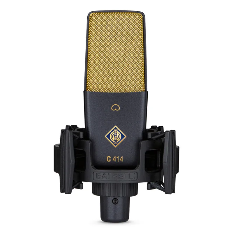 Professional Condenser Microphone XLR With 25mm Diaphragm Cardioid Mic for Streaming Podcasting Recording ASMR Professional Condenser Microphone XLR With 25mm Diaphragm Cardioid Mic for Streaming Podcasting Recording ASMR