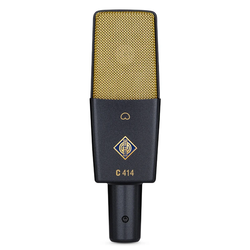 Professional Condenser Microphone XLR With 25mm Diaphragm Cardioid Mic for Streaming Podcasting Recording ASMR