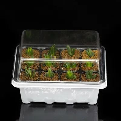 Propagation Kit Gardening Tool