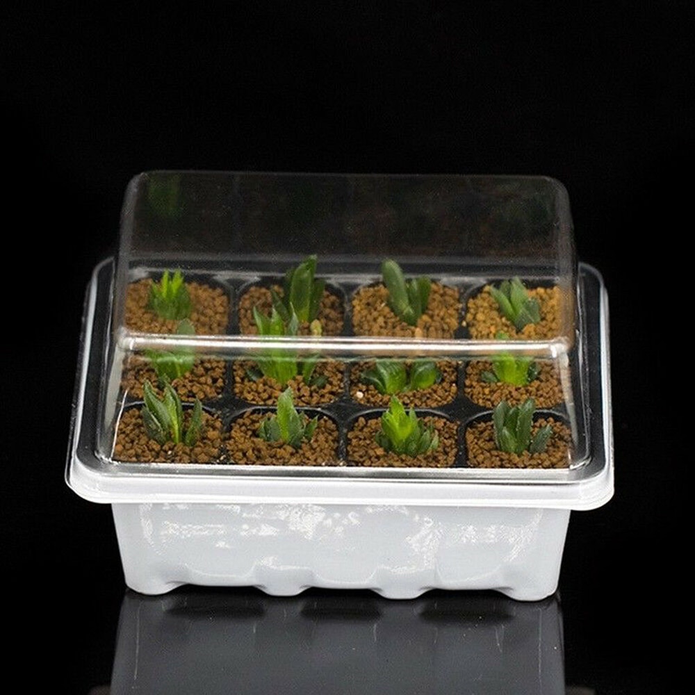 Propagation Kit Gardening Tool Propagation Kit Gardening Tool