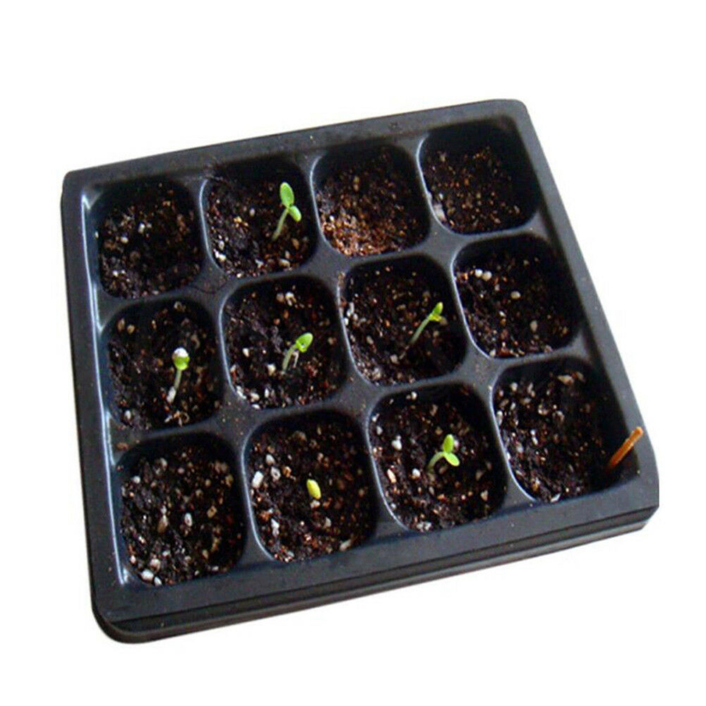 Propagation Kit Gardening Tool