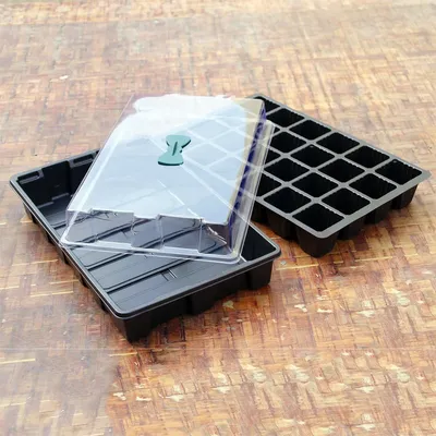Propagation Tray 24-Cell Box with Lid