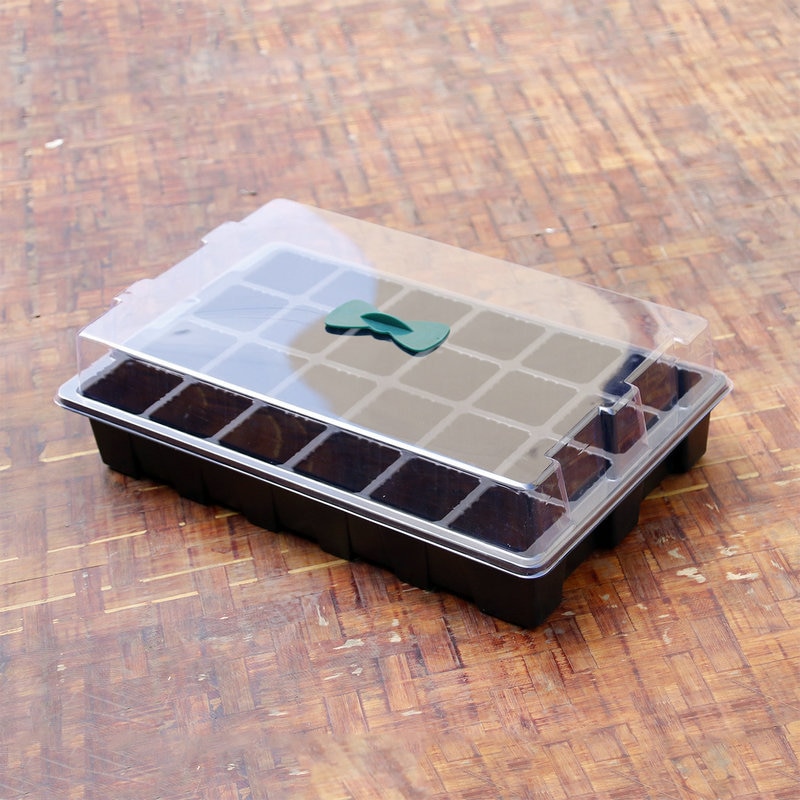 Propagation Tray 24-Cell Box with Lid