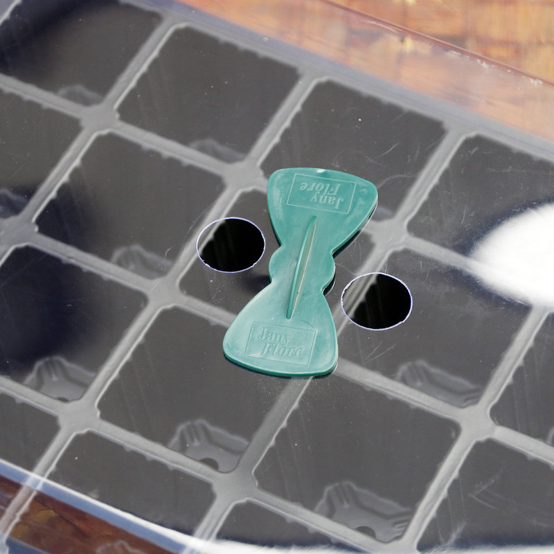 Propagation Tray 24-Cell Box with Lid