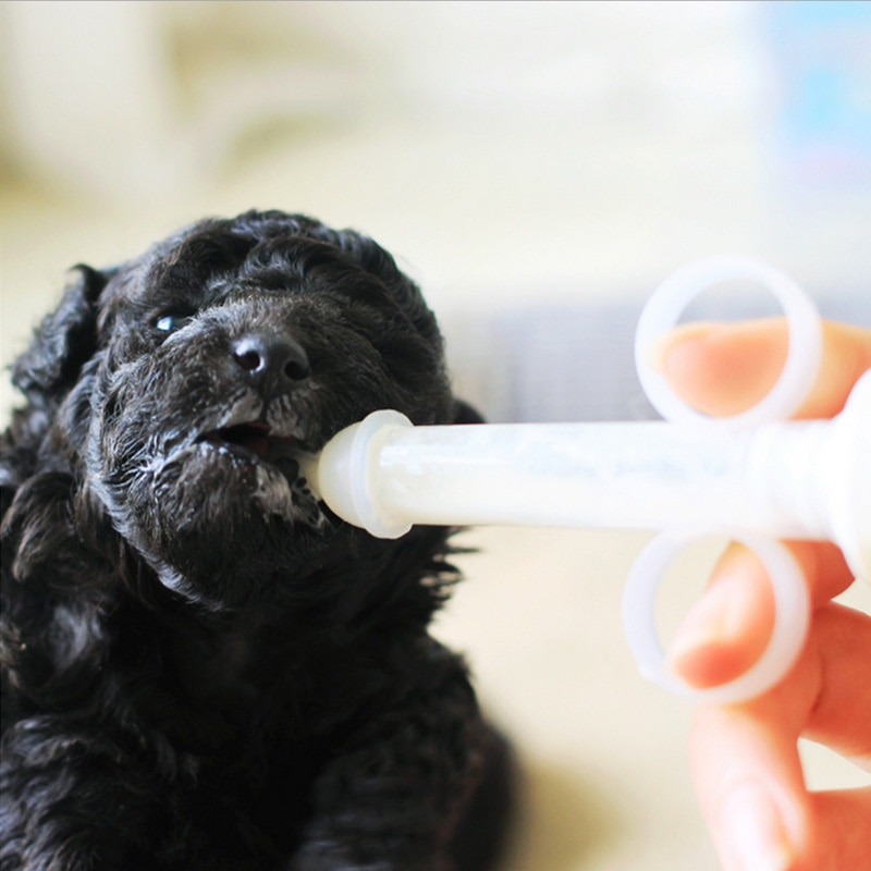 Puppy Feeding Syringe with Accessories Puppy Feeding Syringe with Accessories