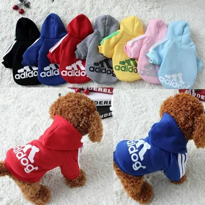 Puppy Hoodie Pet Dog Sweatshirt